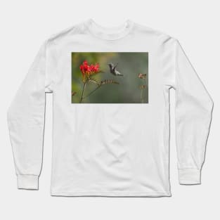 850_5886 Long Sleeve T-Shirt